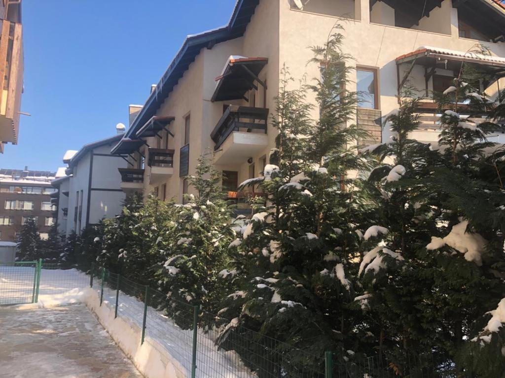 Dolomiti Apartments 반스코 외부 사진